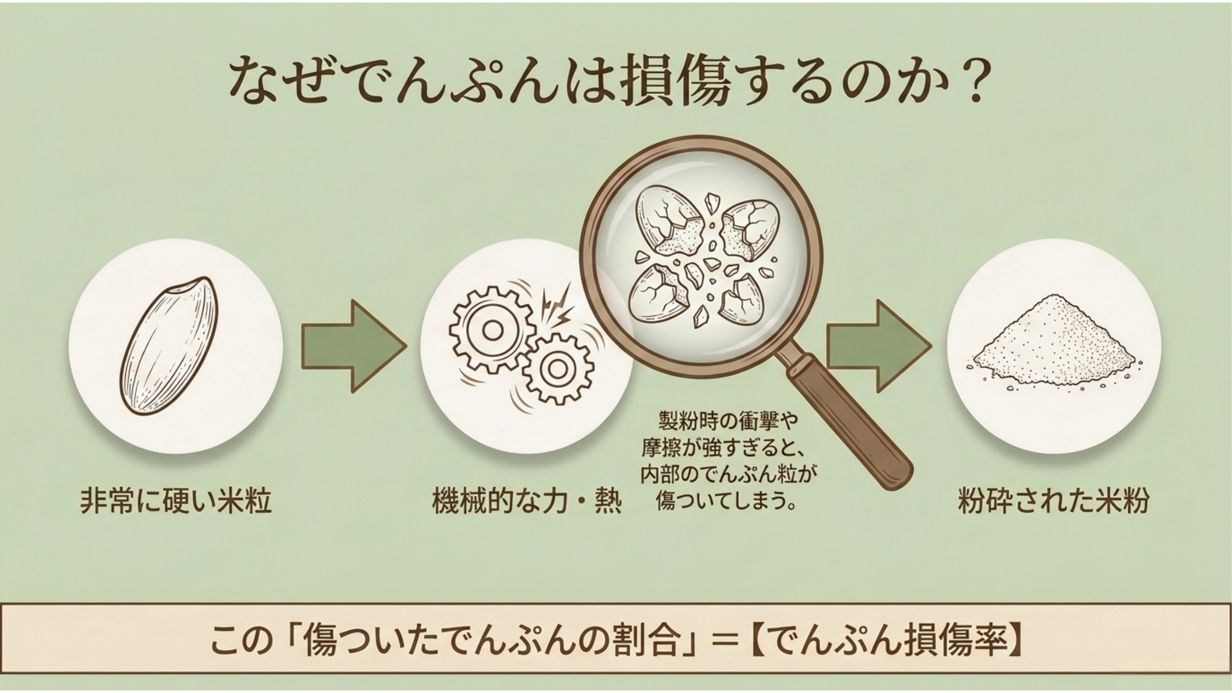 でんぷんが損傷する仕組み